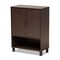 Baxton Studio Rossin Modern Dark Brown Finished Wood 2-Door Entryway Shoe Storage Cabinet with Bottom Shelf 182-11687-Zoro - alternate 1
